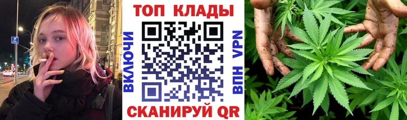 Сколько стоит Шенкурск Амфетамин Меф мяу мяу Альфа ПВП ГАШ COCAIN