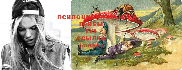 МДПВ Абдулино