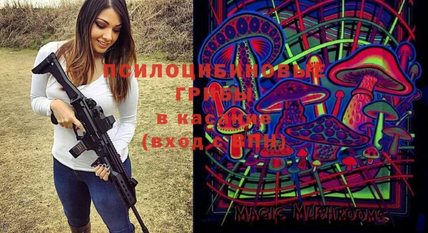 МДПВ Абдулино