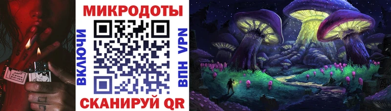 блэк спрут ссылки  продажа наркотиков  Шенкурск  Галлюциногенные грибы MAGIC MUSHROOMS 